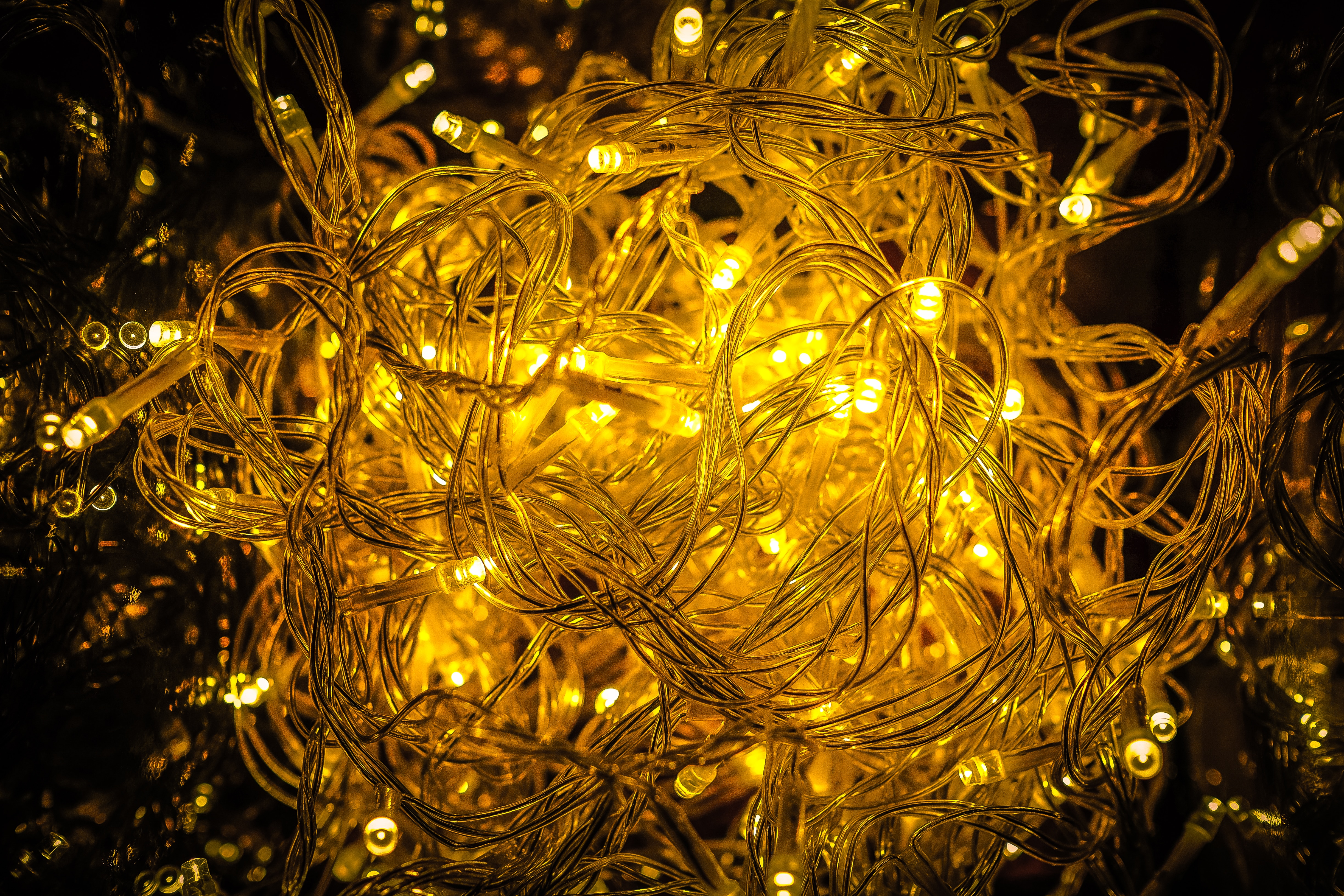white and yellow string lights