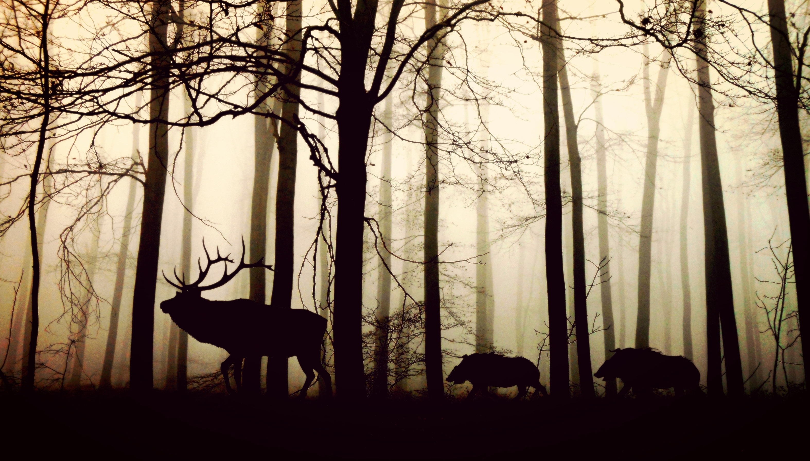 silhouette of moose and 2 wild boars