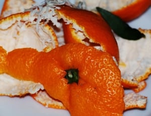 orange fruit peel thumbnail