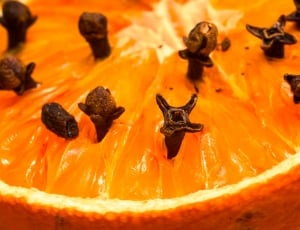 sliced orange fruit thumbnail