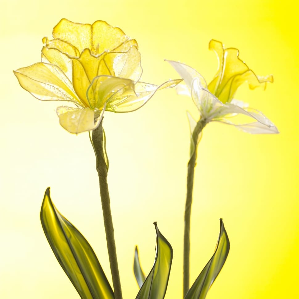 yellow green and white flower painting preview