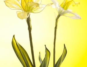 yellow green and white flower painting thumbnail