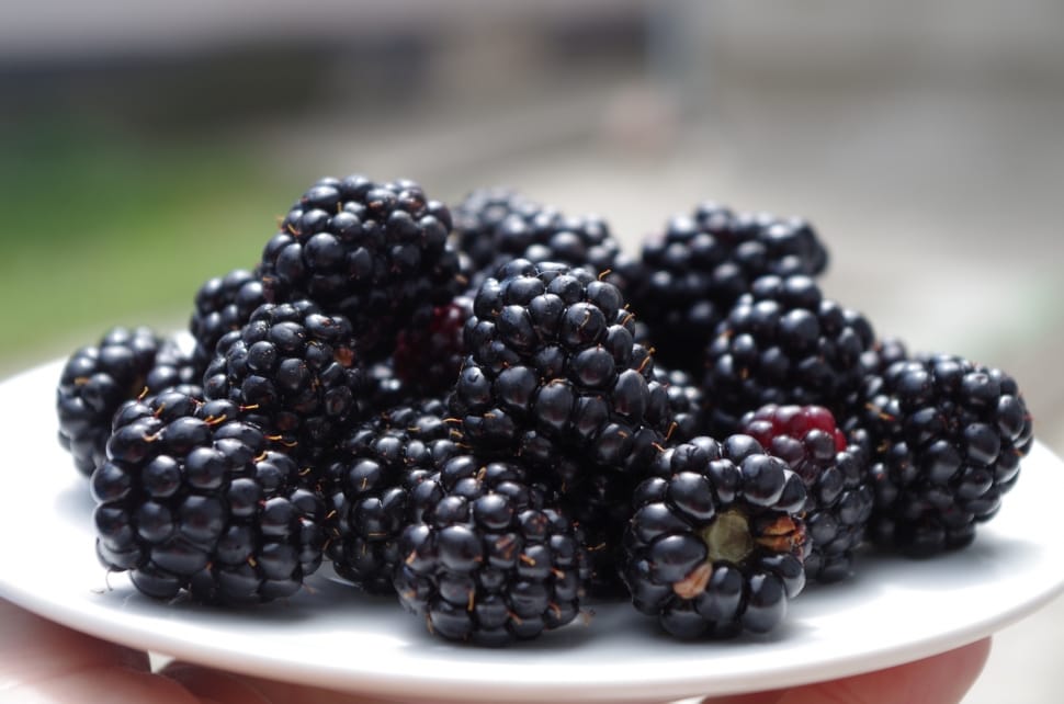 Black, Blackberries, Fruit, On A Plate, fruit, blackberry - fruit preview