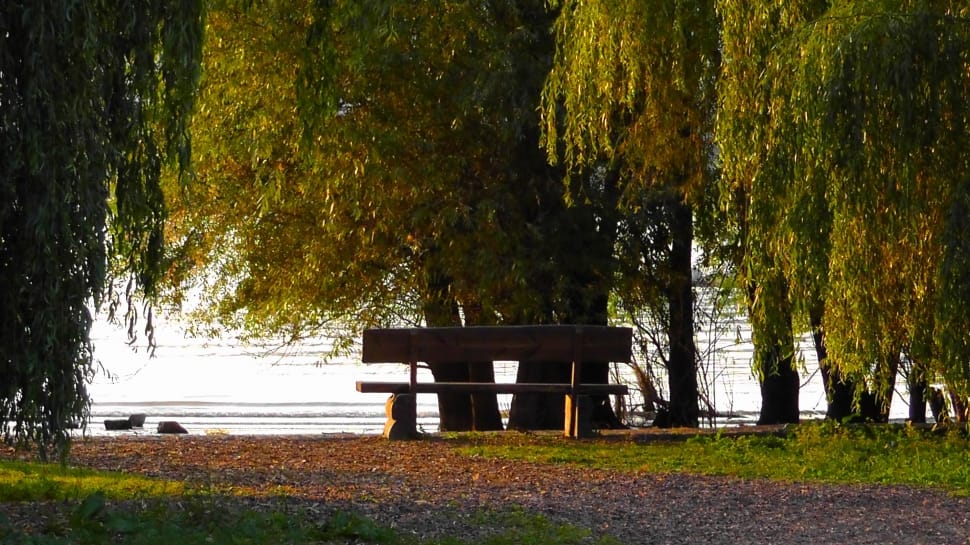 park bench near body of water during daylight preview