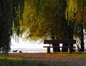 park bench near body of water during daylight thumbnail