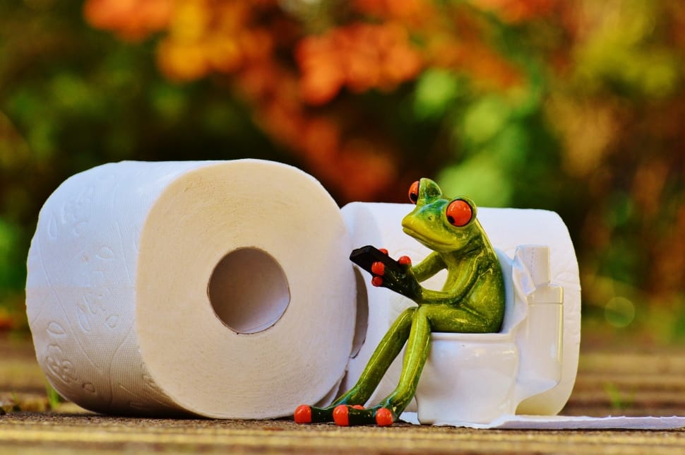 Green Frog Sitting On Toilet Bowl Figurtine Free Image Peakpx   Frog Toilet Loo Session Funny   Preview 