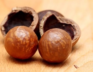two brown round chocolate on brown wooden table thumbnail