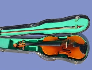 Music, Musical Instrument, Violin, music, musical instrument thumbnail