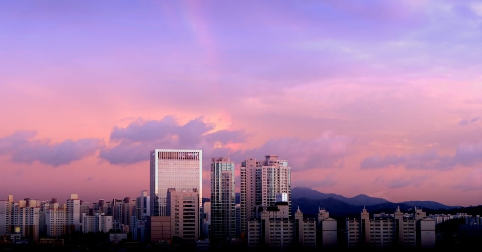 high rise buildings under purple and pink sky and clouds preview