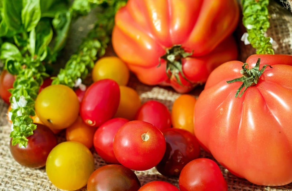 red tomatoes red pumpkins and cauliflower preview