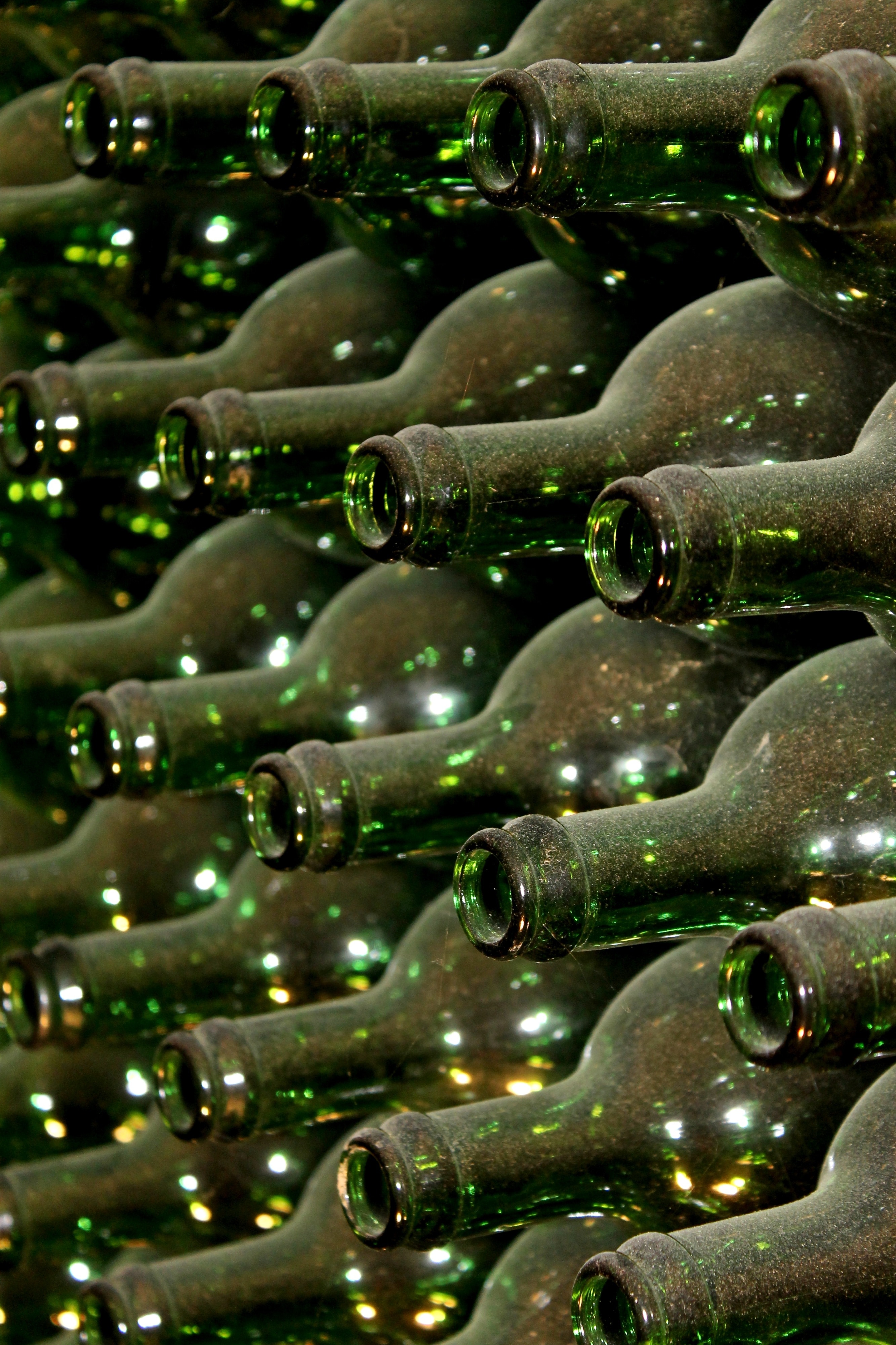 arrangement of green glass bottle lot in closeup photography
