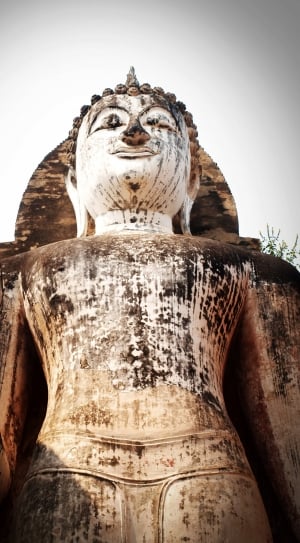 white and brown buddha statue thumbnail