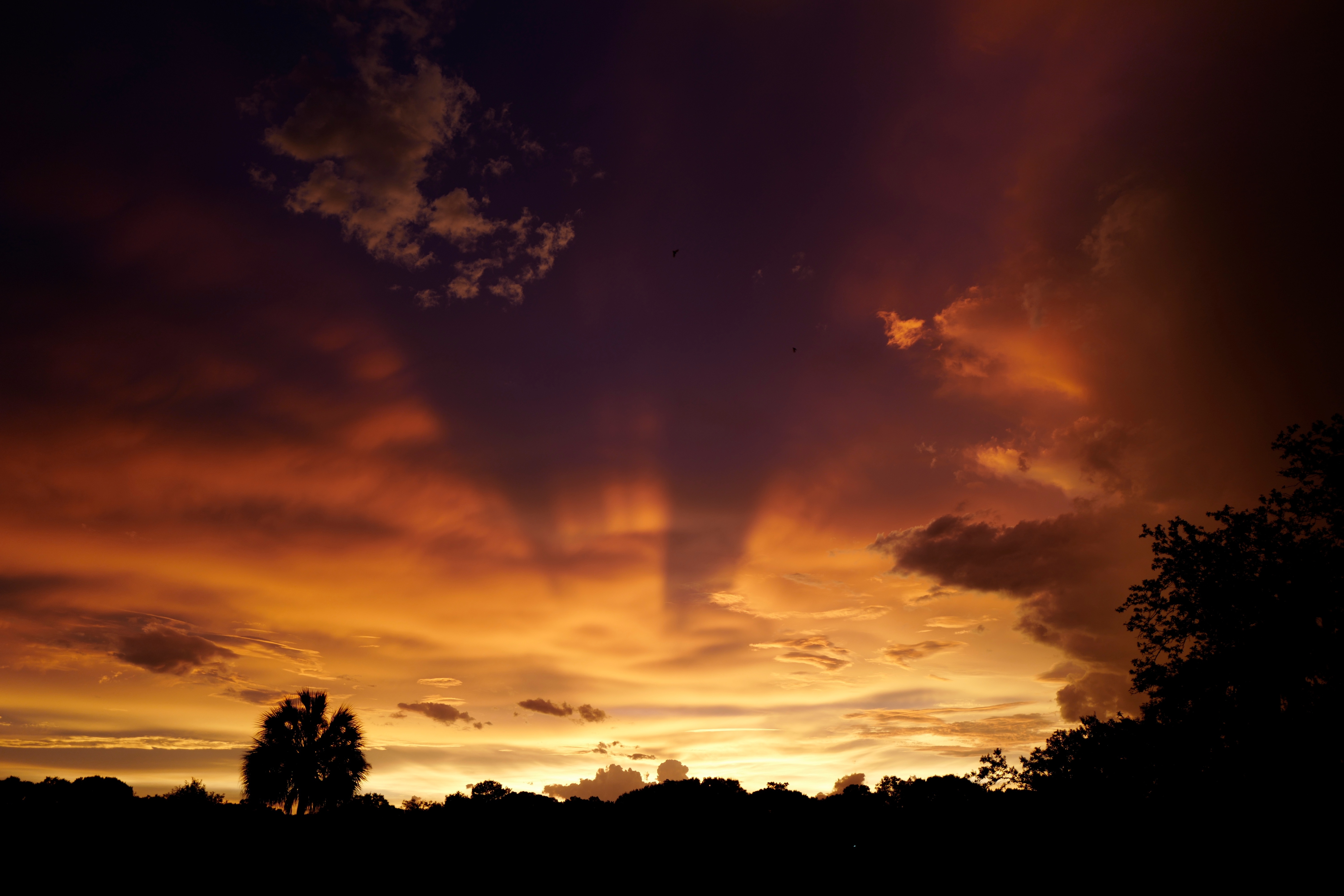 Dark Sunset Clouds Sky Dramatic Sky Cloud Sky Free Image Peakpx