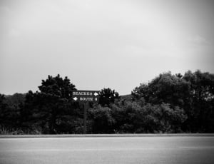 grayscale photo of beaches and route road signage thumbnail