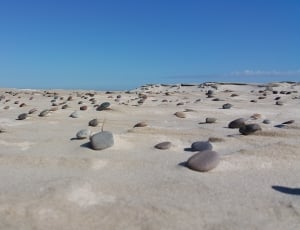 a lot of stones on a desert thumbnail