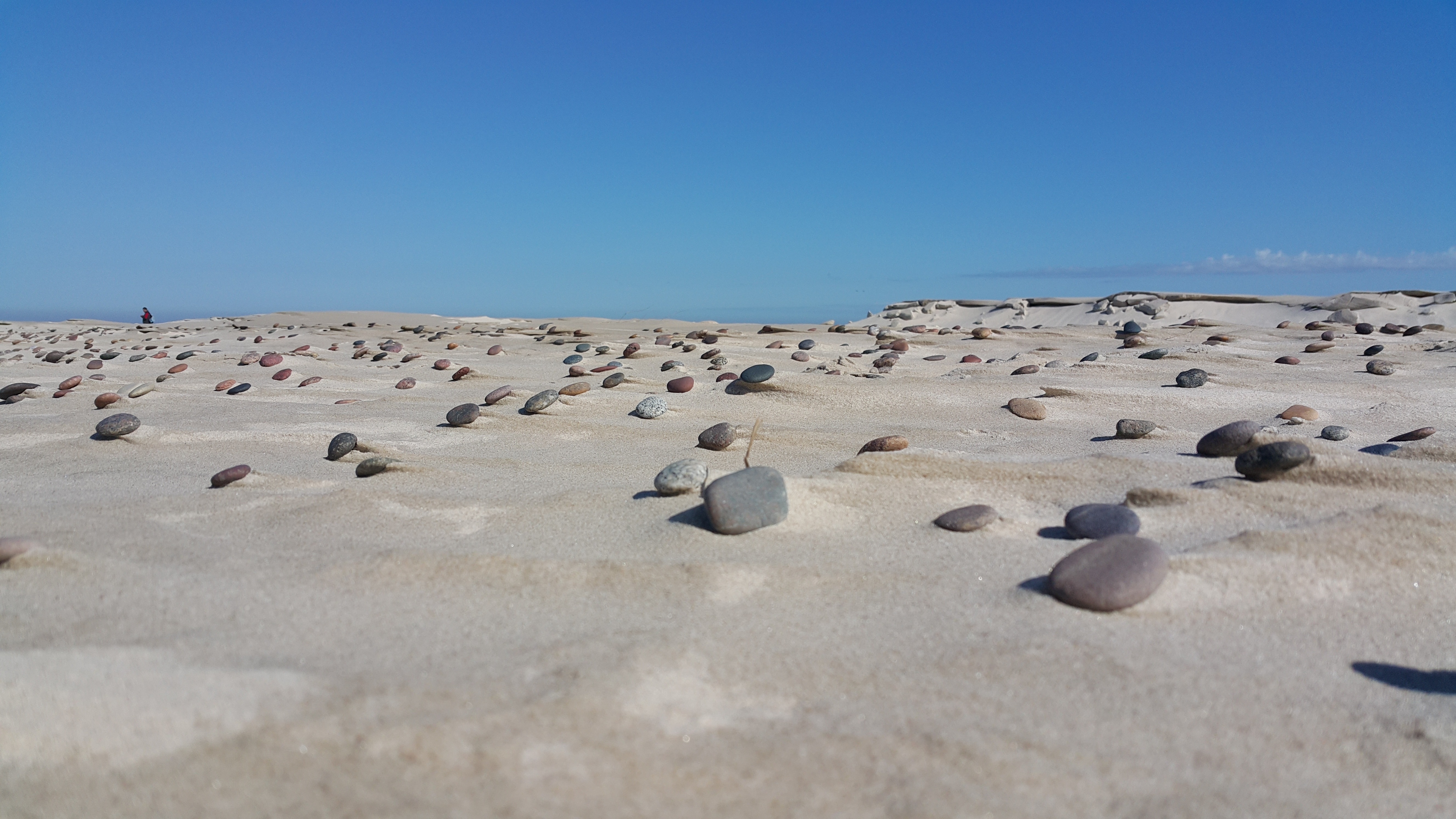 a lot of stones on a desert