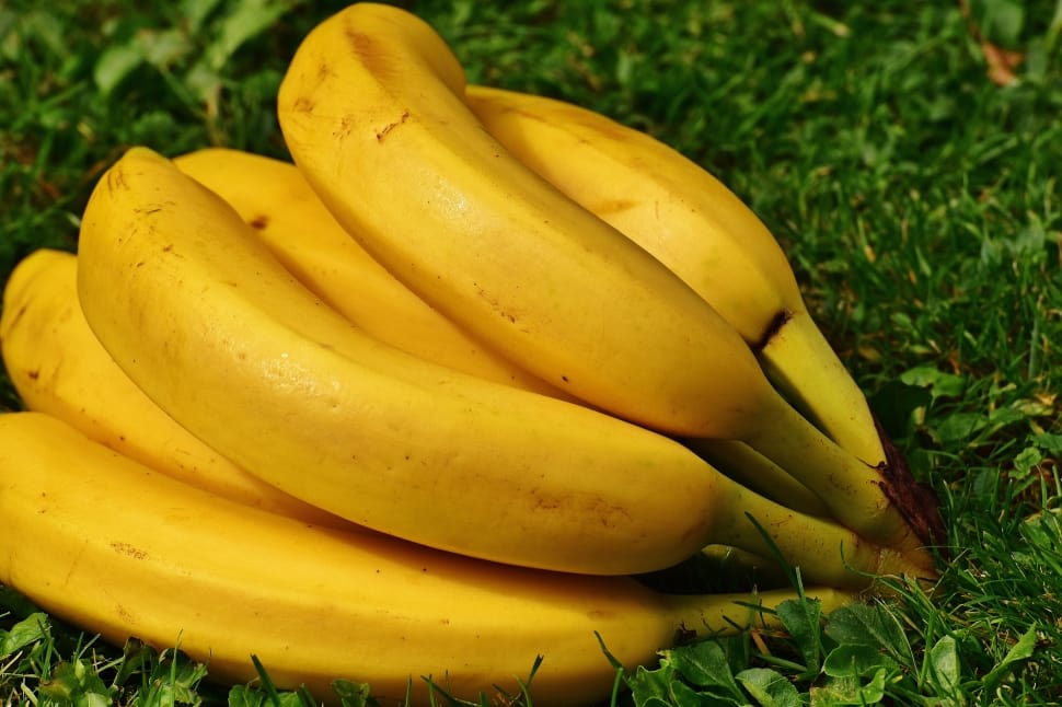 banana lot preview