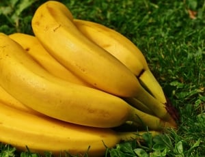 banana lot thumbnail