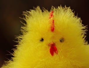 red and yellow fluffy chicken plush toy thumbnail