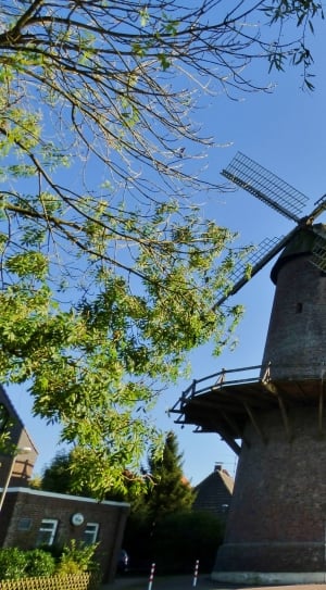 brown concrete wind mill surrounded by trees under blue sky thumbnail