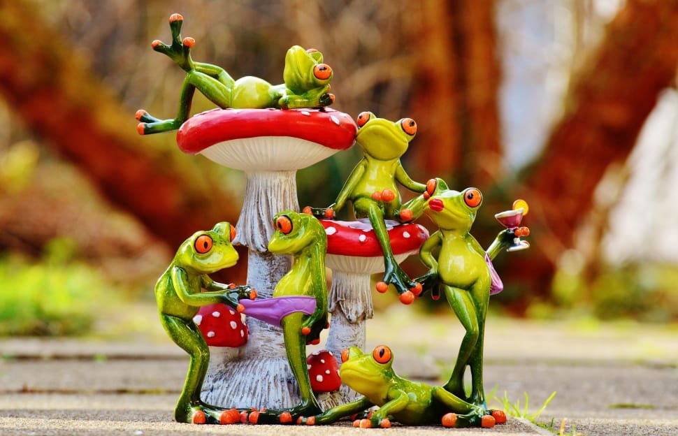 Frogs, Funny, Group, Figures, Mushrooms, focus on foreground, multi colored preview