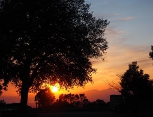 sunset landscape photopgraph thumbnail