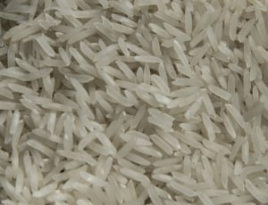 uncooked rice thumbnail