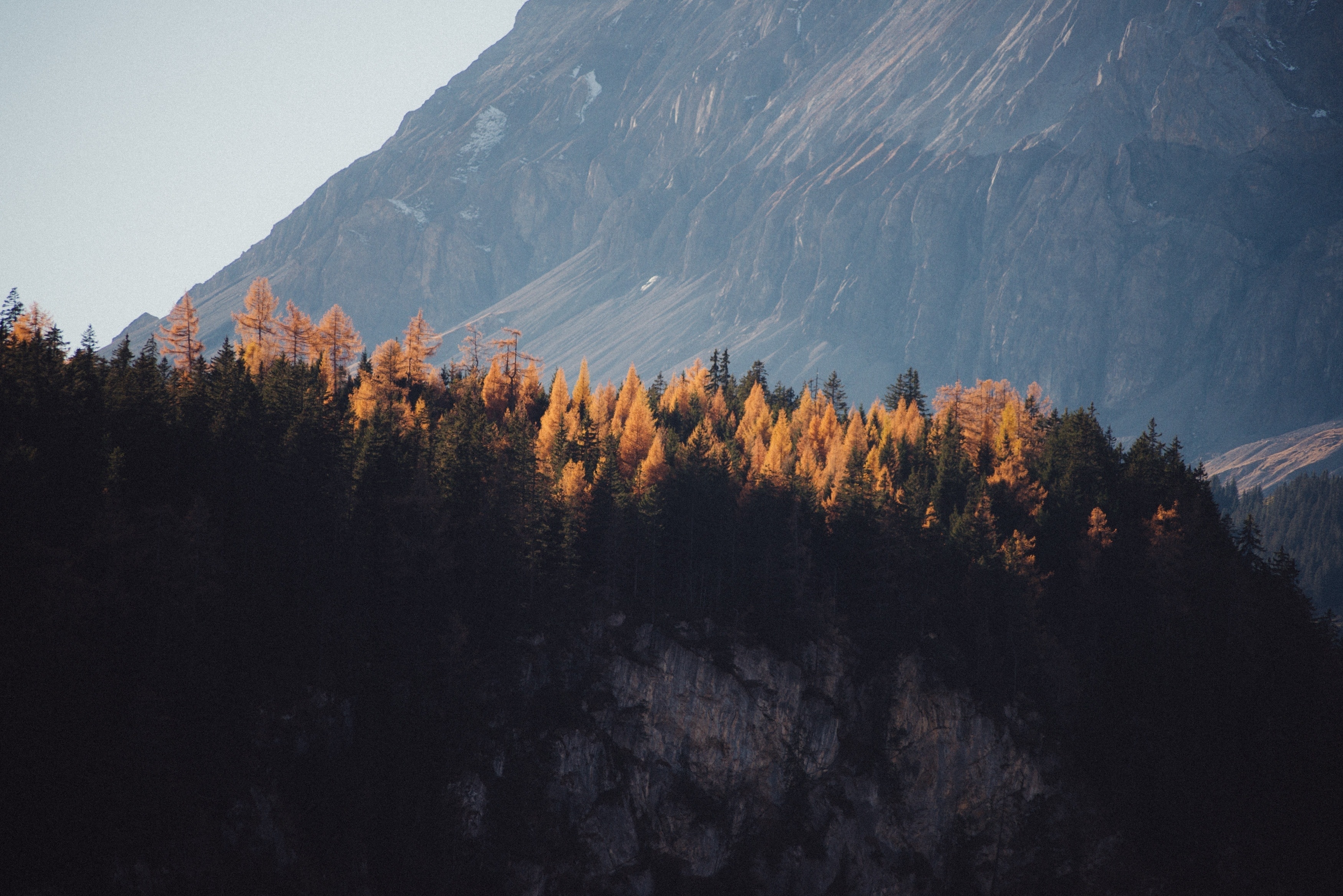 1920x1080 wallpaper | green trees on mountain | Peakpx