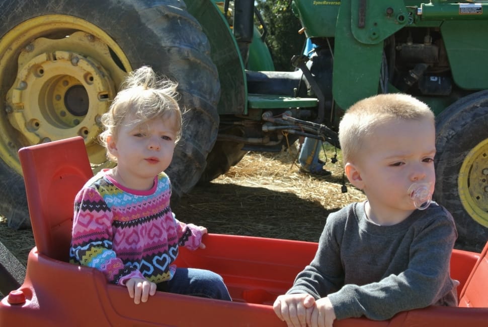 Country, Kids, Farm, Tractor, Children, childhood, two people preview