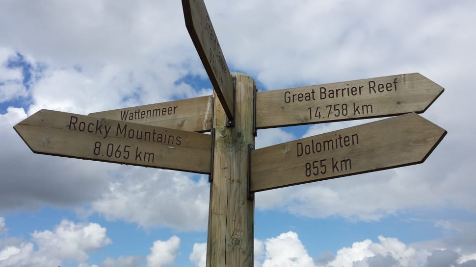 brown wooden direction signpost preview