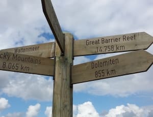 brown wooden direction signpost thumbnail