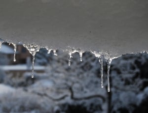 ice drips thumbnail