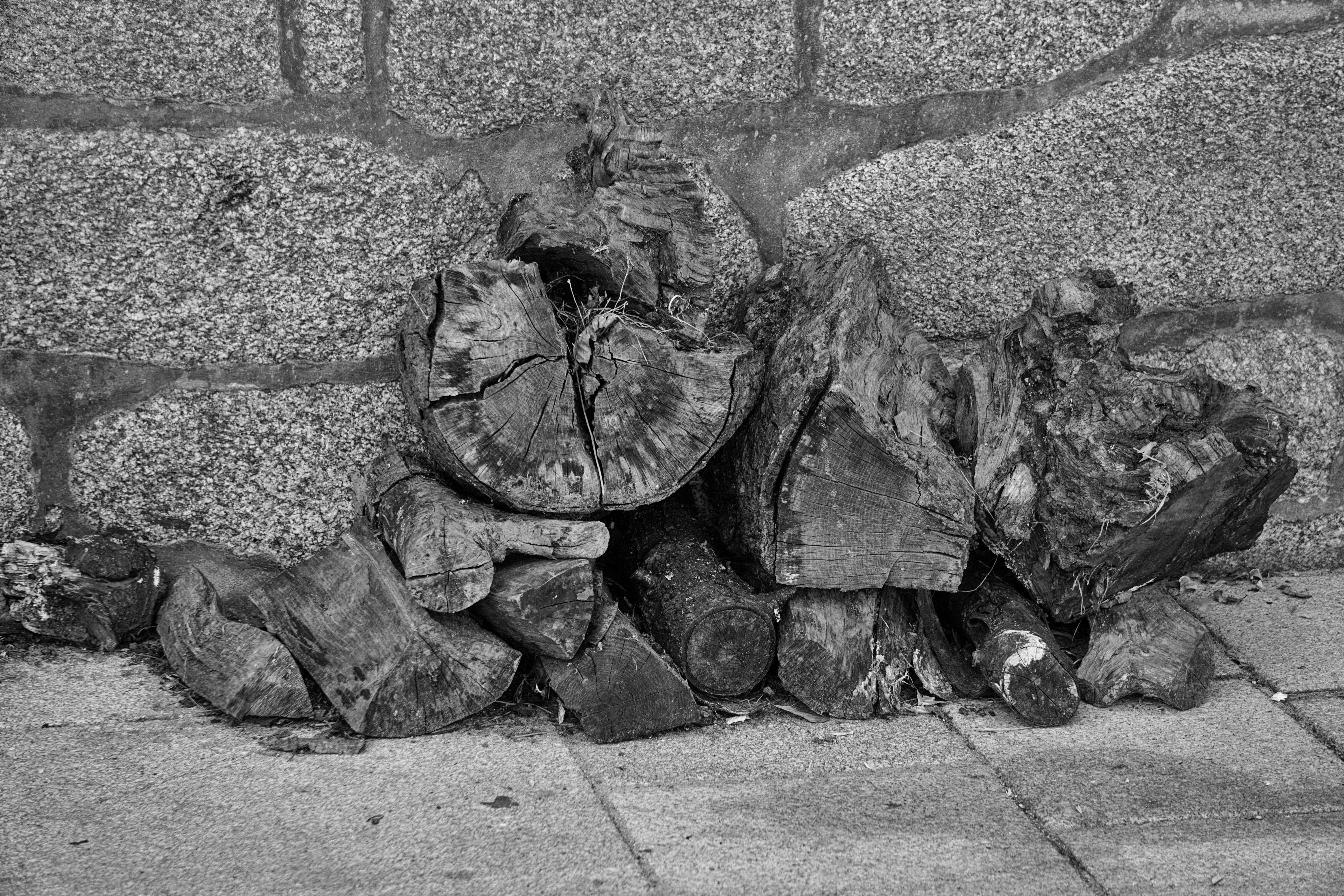 grayscale photography of pile of firewood