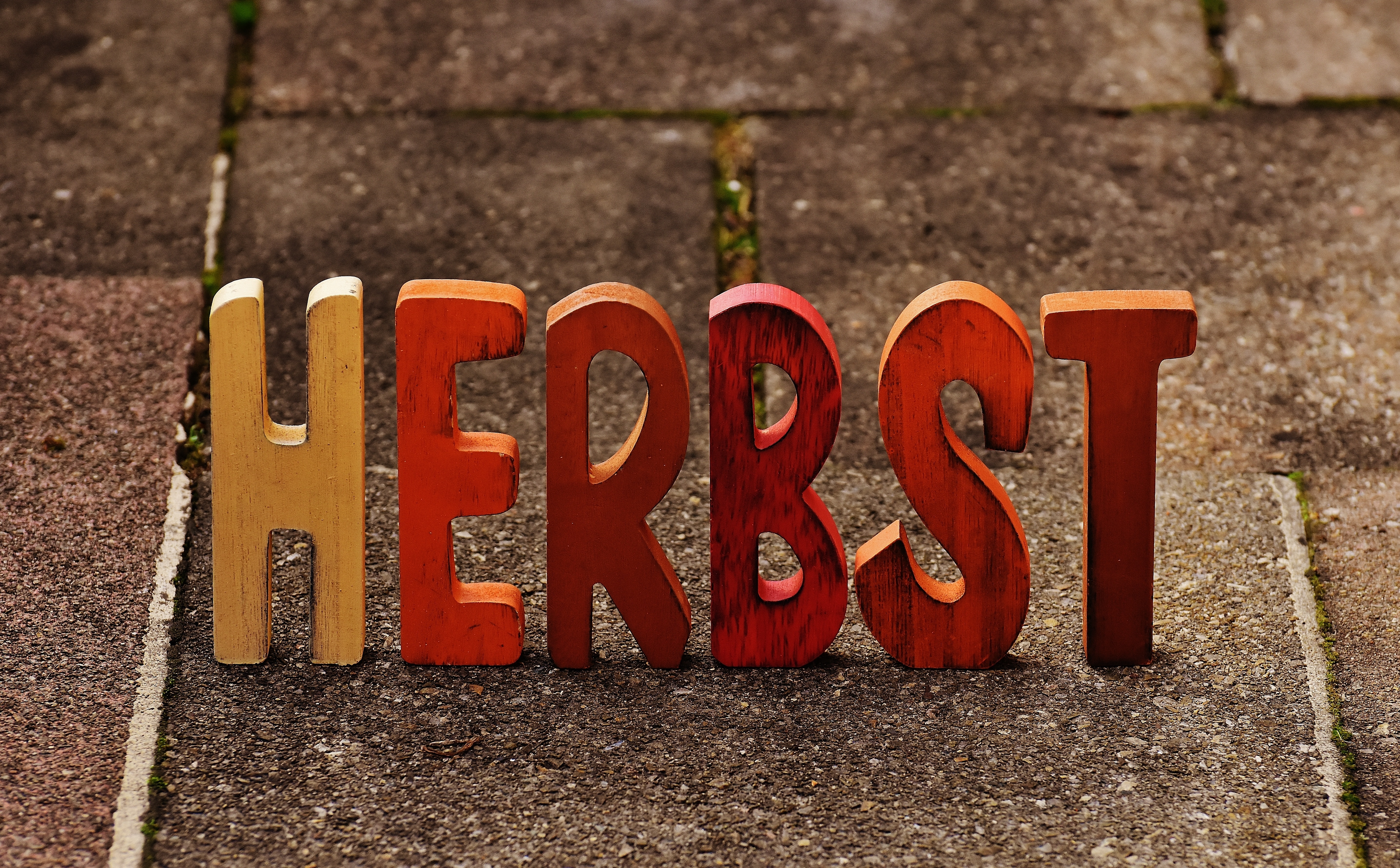 close-up photo of red and brown Herbst text decor placed on gray cinder during daytime