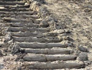 Excavator Tracks, Tire Tracks, Ground, mystery, nature thumbnail
