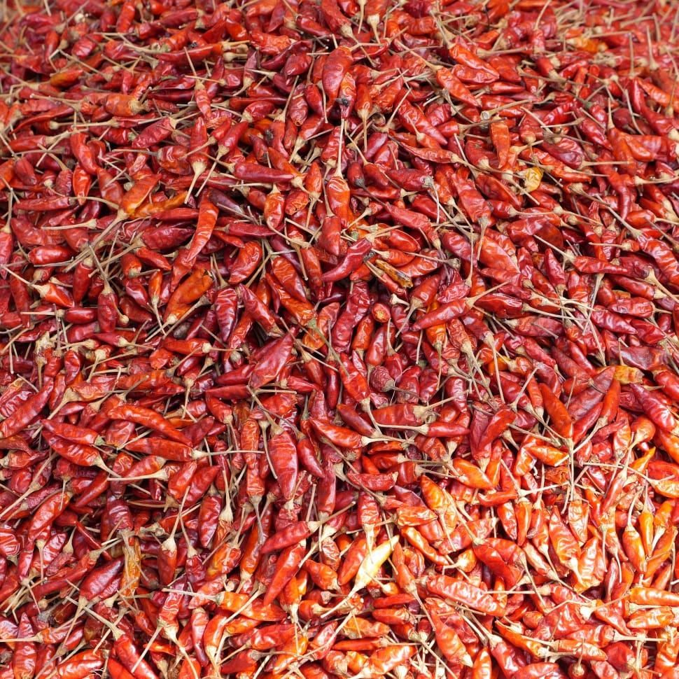 chili pepper lot preview