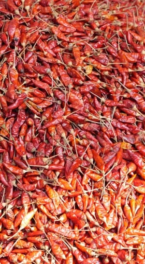 chili pepper lot thumbnail