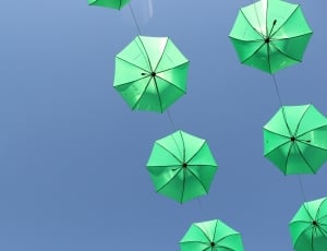 green folding umbrellas thumbnail