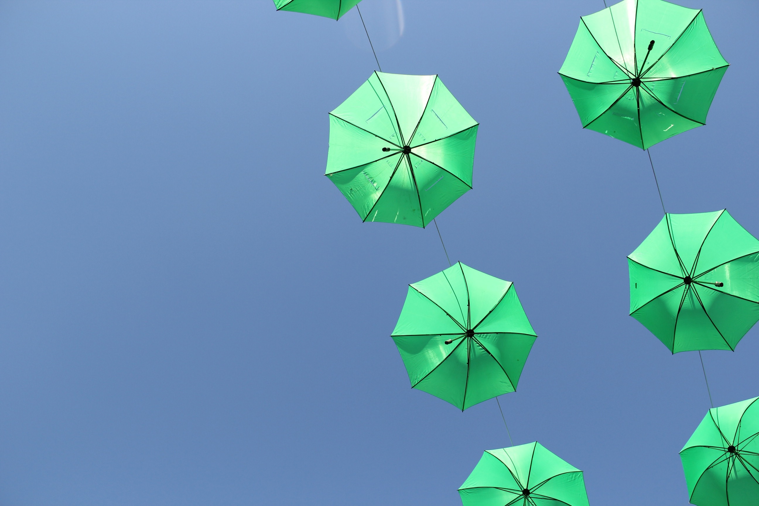 green folding umbrellas
