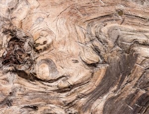 brown wood thumbnail