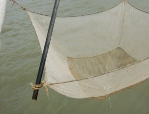 Net, Fisherman, Fishing, Sea, water, high angle view thumbnail