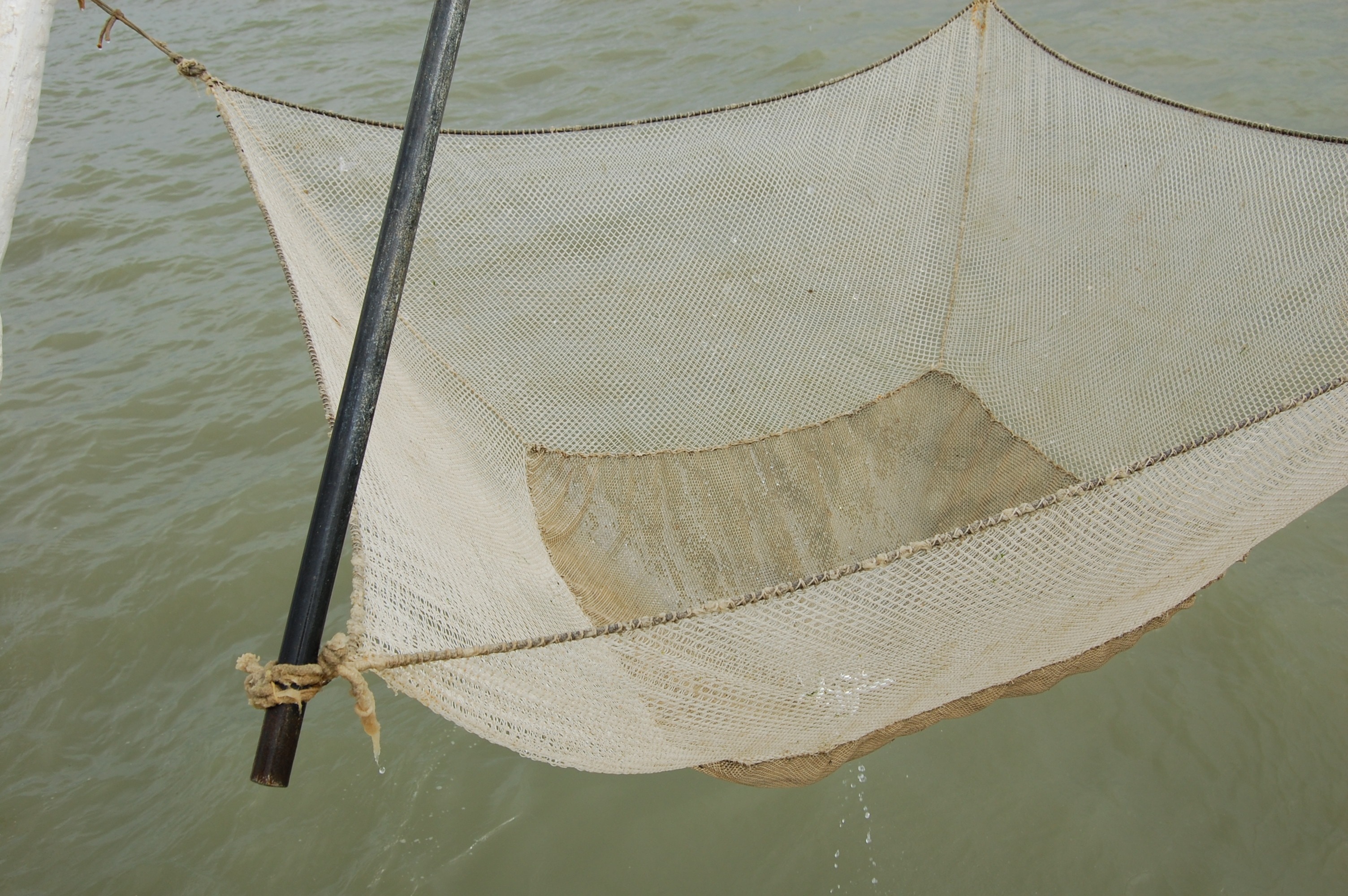 Net, Fisherman, Fishing, Sea, water, high angle view