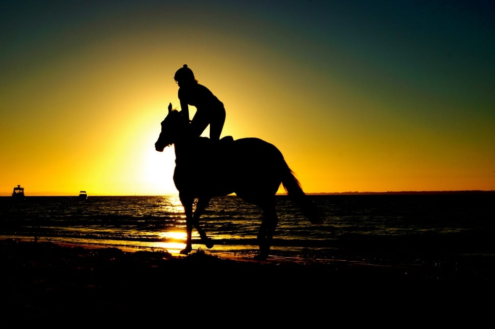 person riding horse silhouette preview