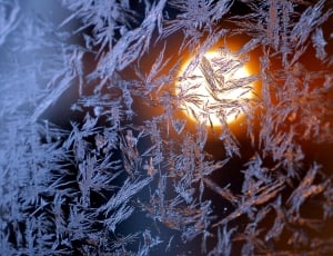 light, effect, sun,  design, snow, winter thumbnail