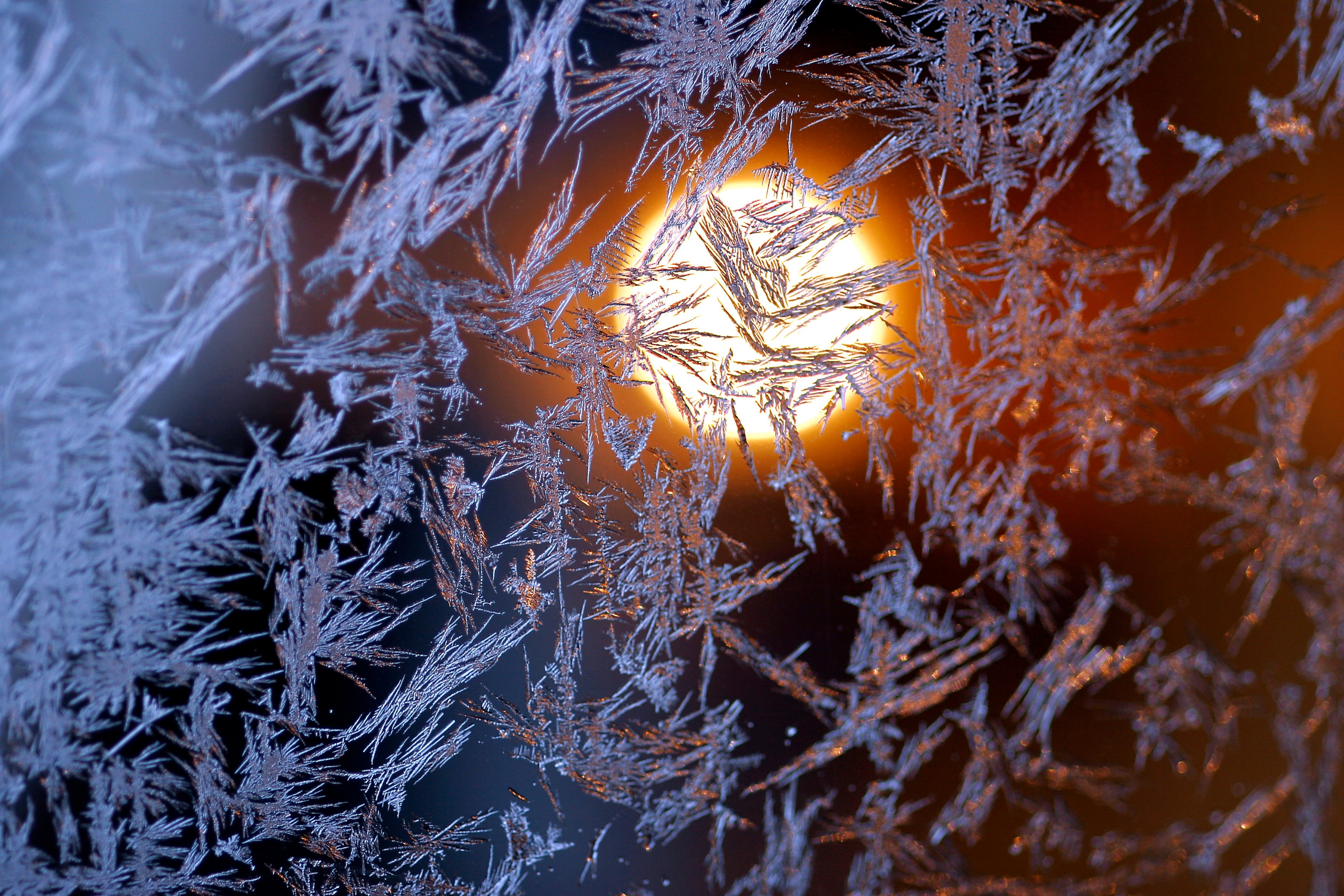 light, effect, sun,  design, snow, winter