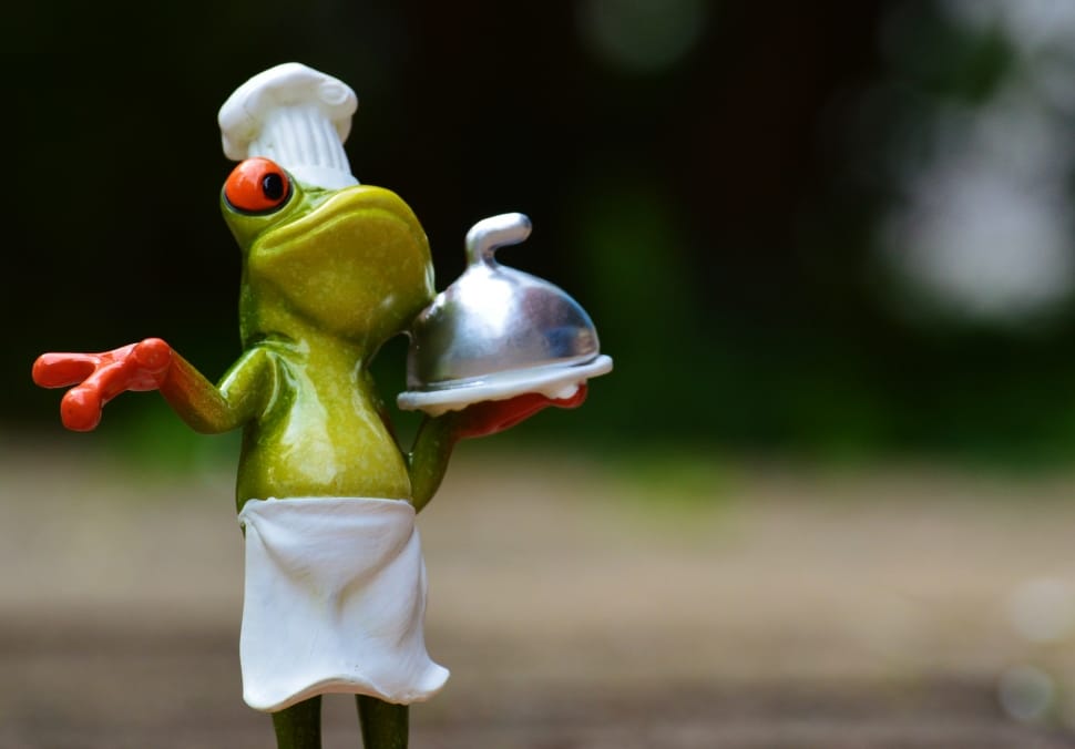 photo of a frog chef holding tray preview