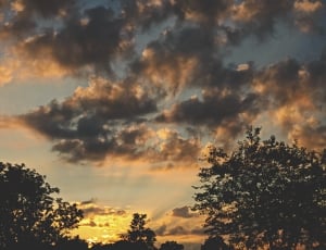 silhouette of trees under the clouds during golden hour thumbnail