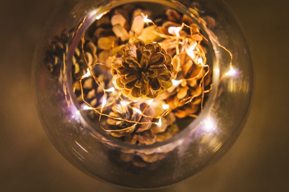silhouette of brown pine cones with string lights preview