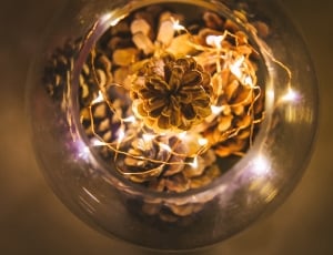 silhouette of brown pine cones with string lights thumbnail