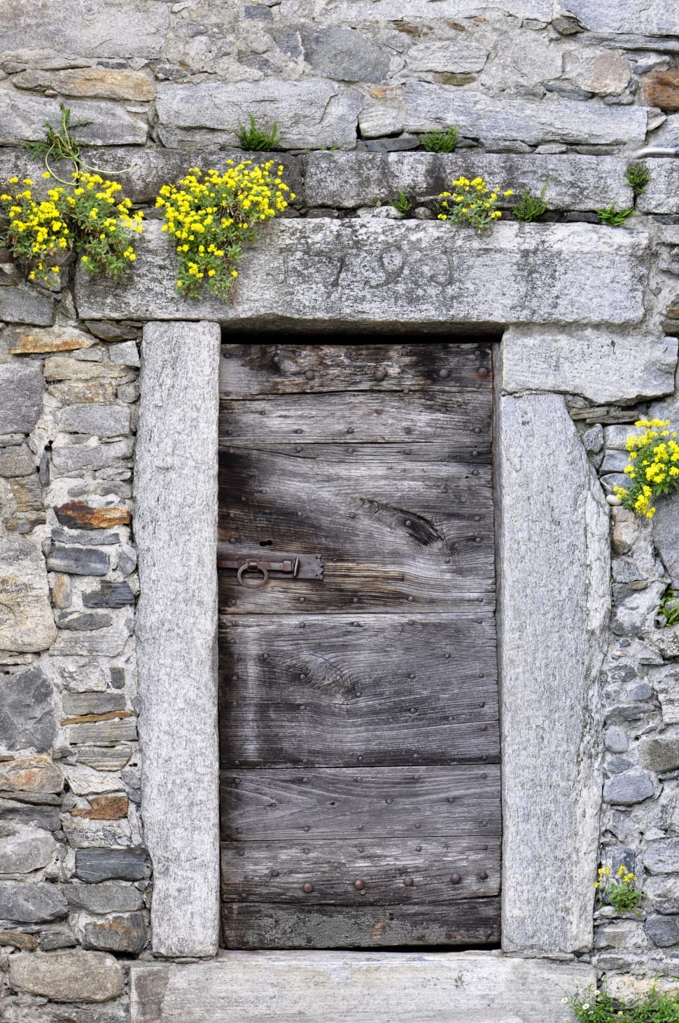 gray wooden door preview